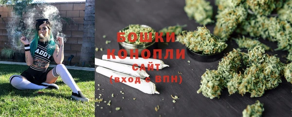 кокс Корсаков