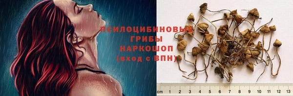 кокс Корсаков